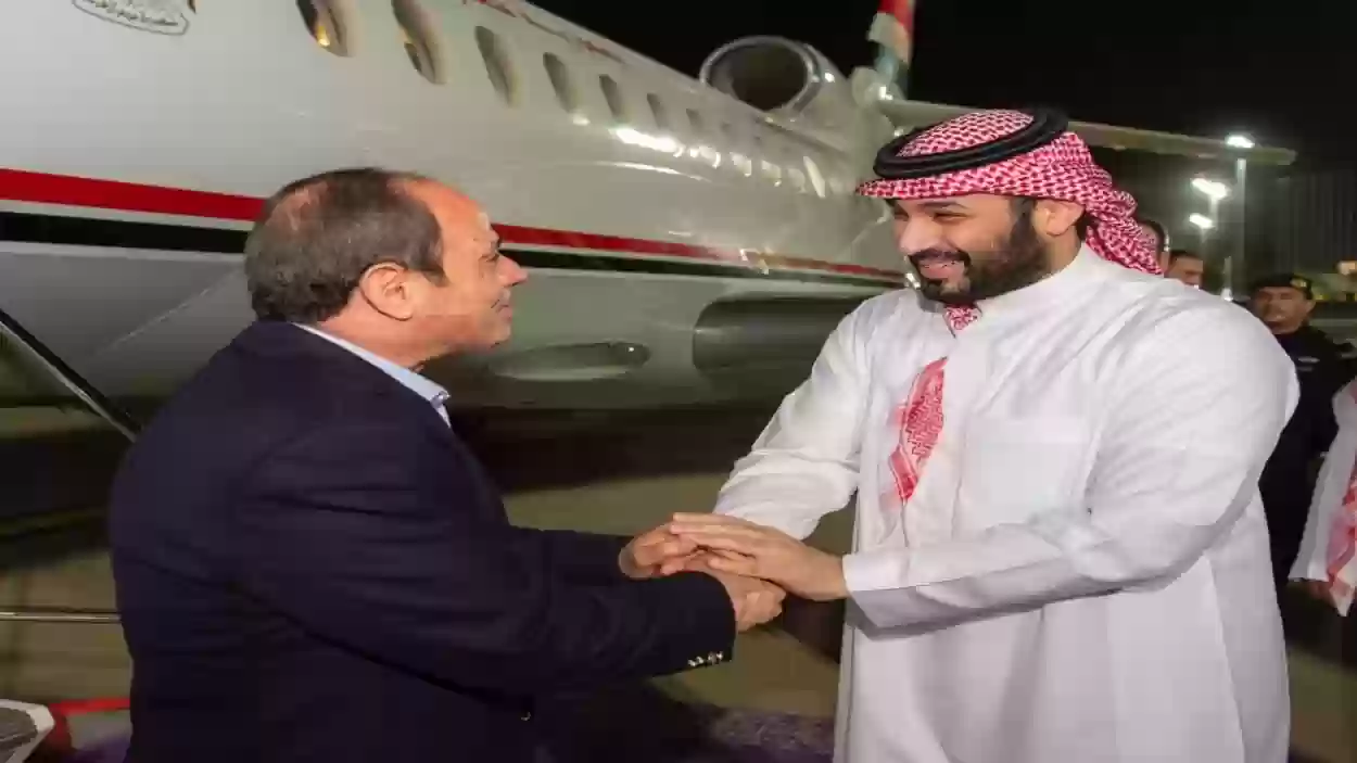 الرئيس السيسي يستقبله ولي العهد