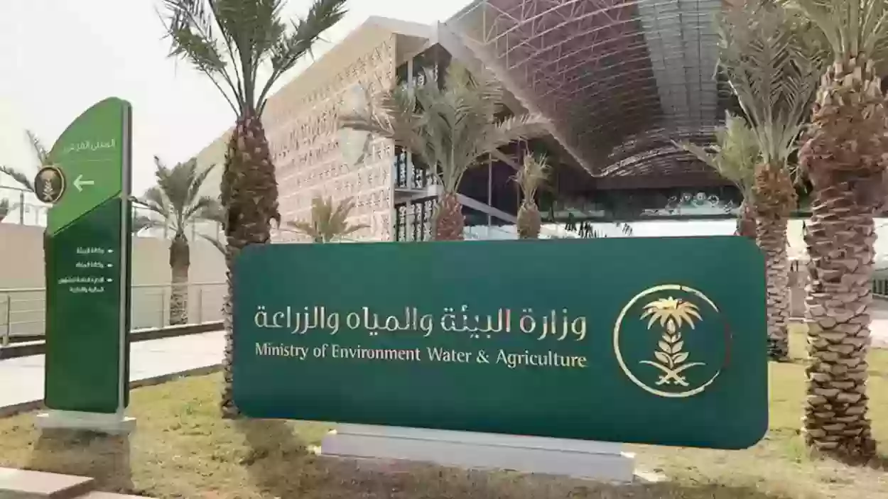 خدمات القطاع الحيواني 